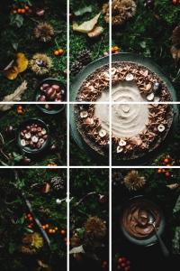 a photo of a chestnut pie on moss for arcticle How to read photos so you can improve your food photography by Anja Burgar from Use Your Noodles blog